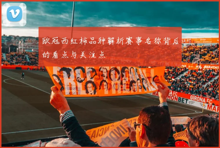 欧冠西红柿品种解析赛事名称背后的看点与关注点