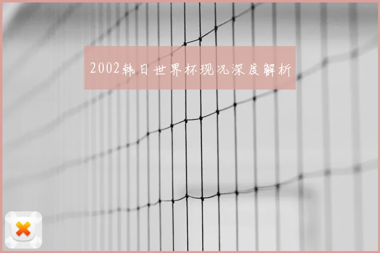 2002韩日世界杯现况深度解析