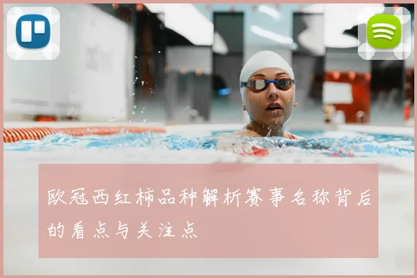 欧冠西红柿品种解析赛事名称背后的看点与关注点