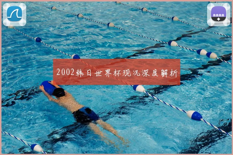 2002韩日世界杯现况深度解析